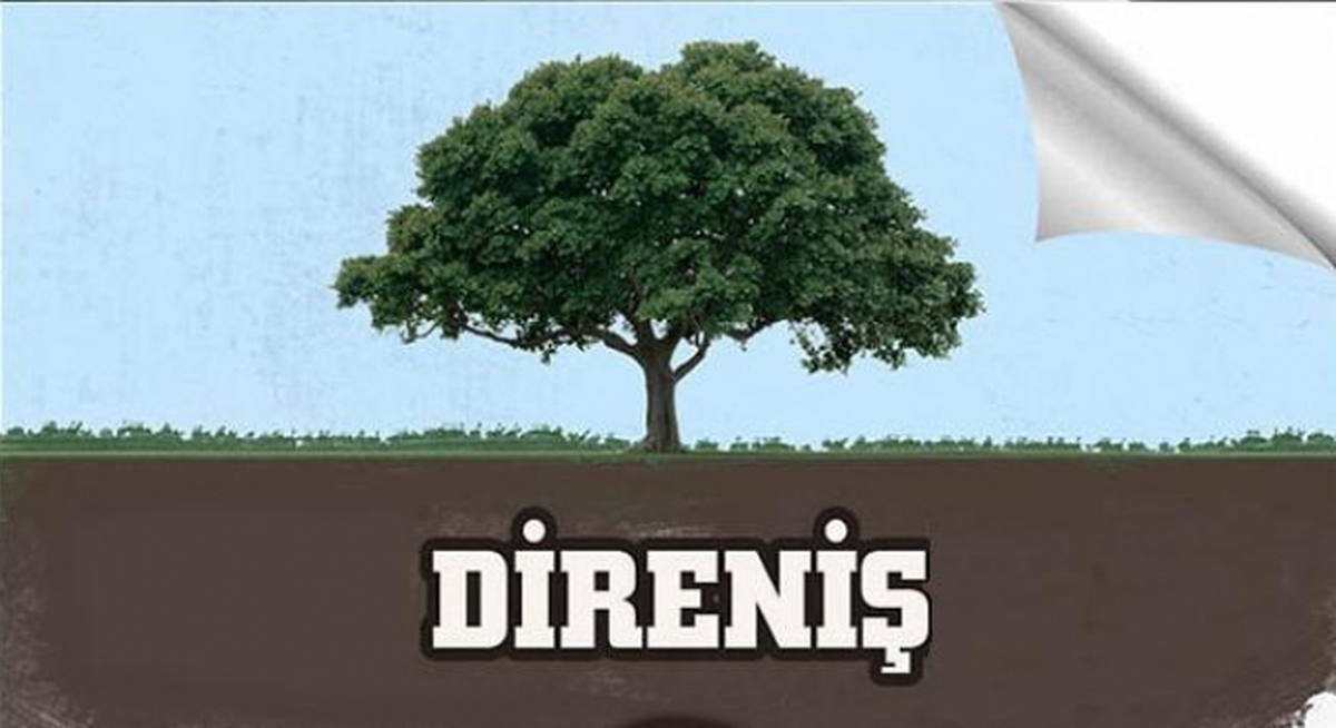 Sayılarla Gezi Parkı Direnişi