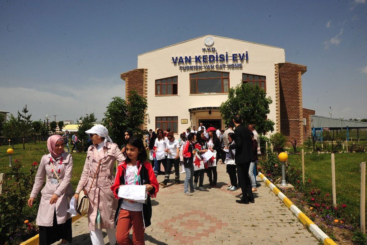 Türkçe Olimpiyatları\'na Katılan Öğrencilerden Kedi Evi\'ne Ziyaret