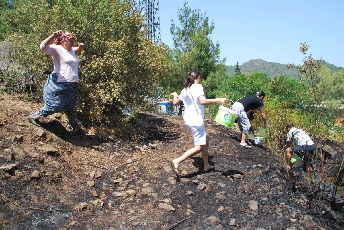 Vatandaşlar Orman Yangınında Seferber Oldu