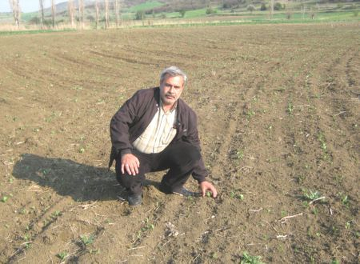 Bozüyük Sebze Üreticileri Birliği Başkanı Çatman Açıklaması