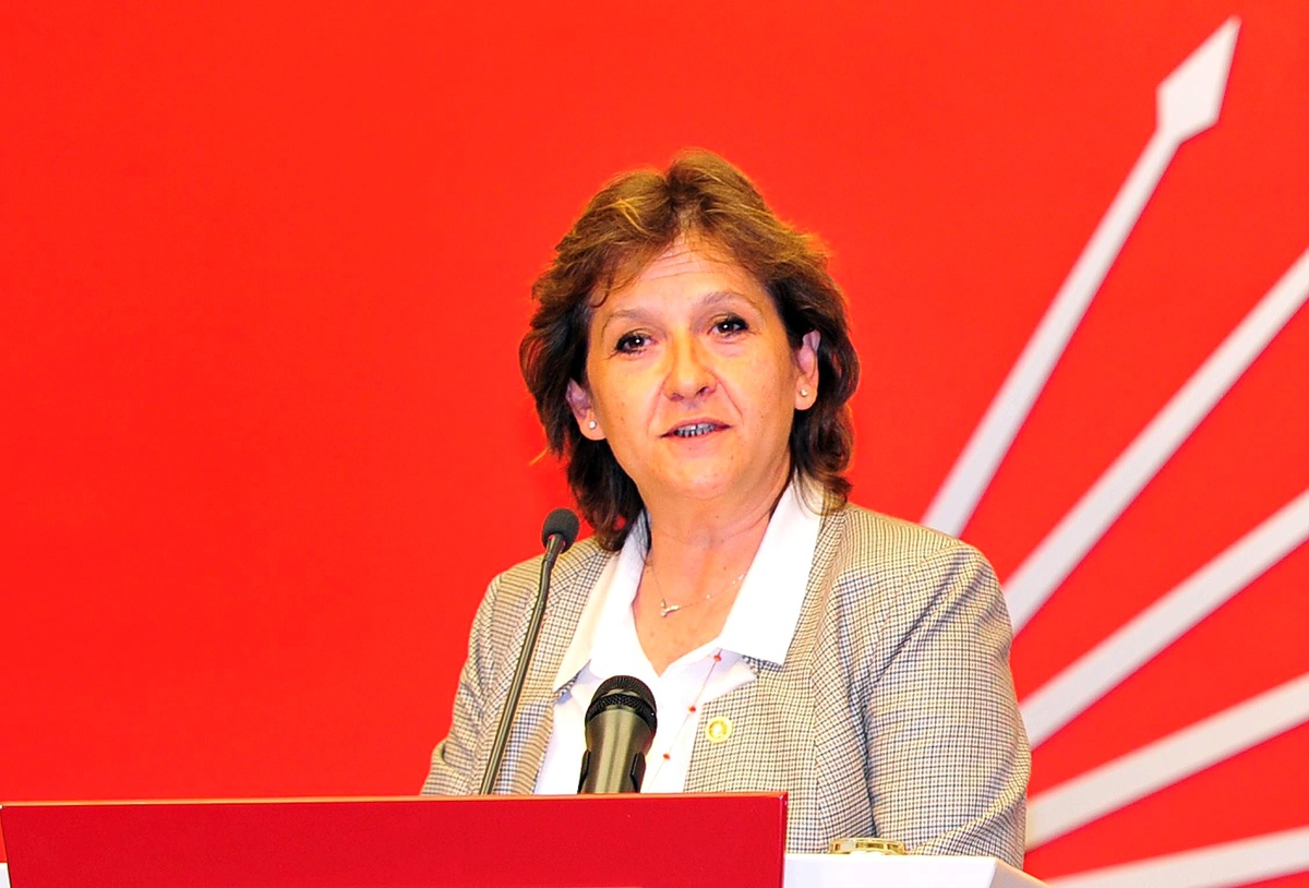 CHP Milletvekili Birgül Ayman Güler Açıklaması