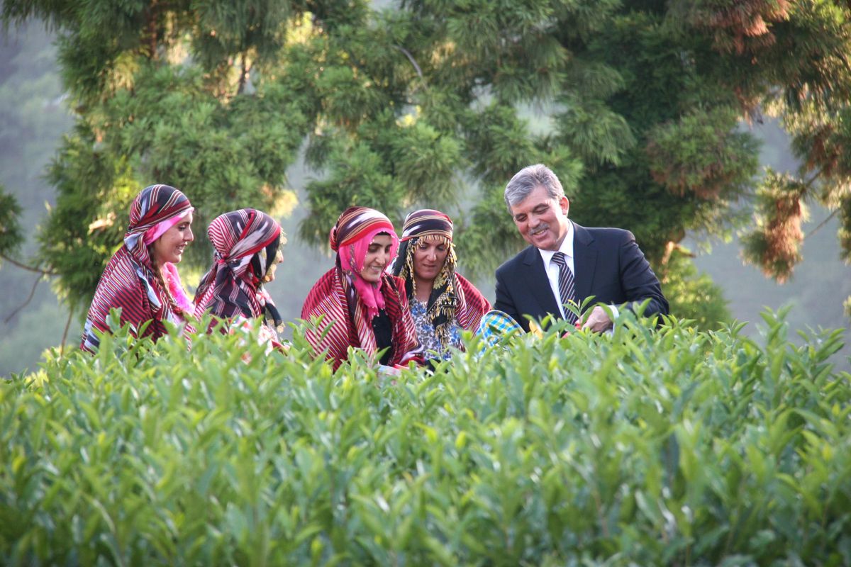 Cumhurbaşkanı Abdullah Gül Rize'de