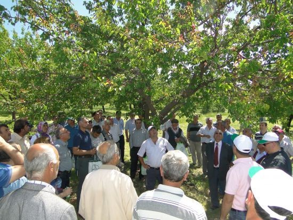 Doğanşehir\'de \'Tarla Günü\' Yapıldı