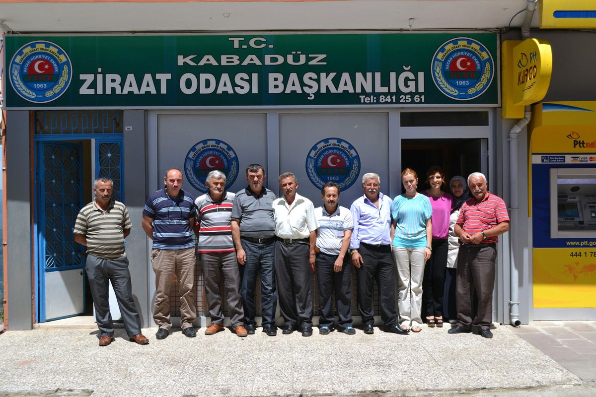Dolu, Rüzgar ve Sıcaklar Fındığa Zarar Verdi