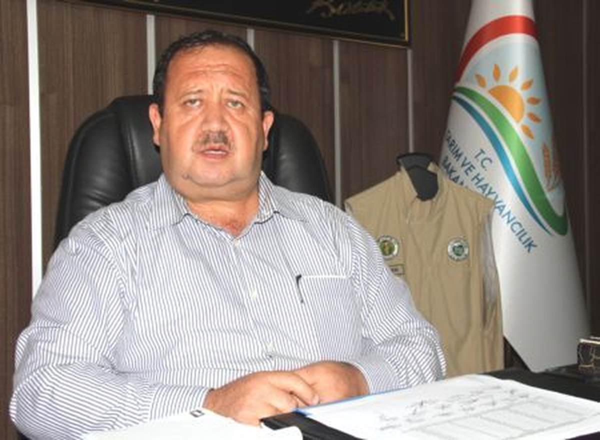 Fındık Rekoltesi Düştü