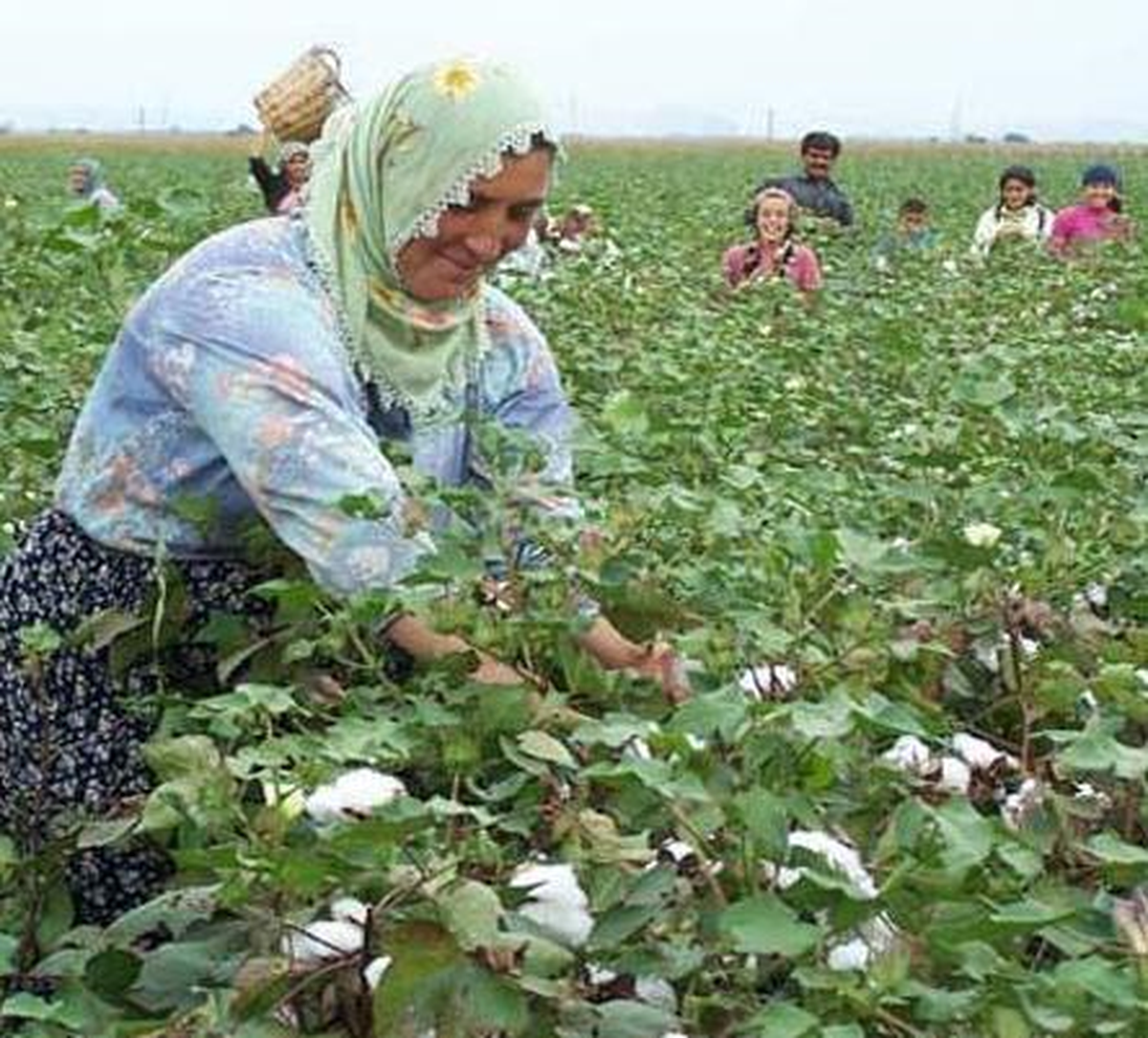 Mevsimlik Tarım İşçisinde Azalma