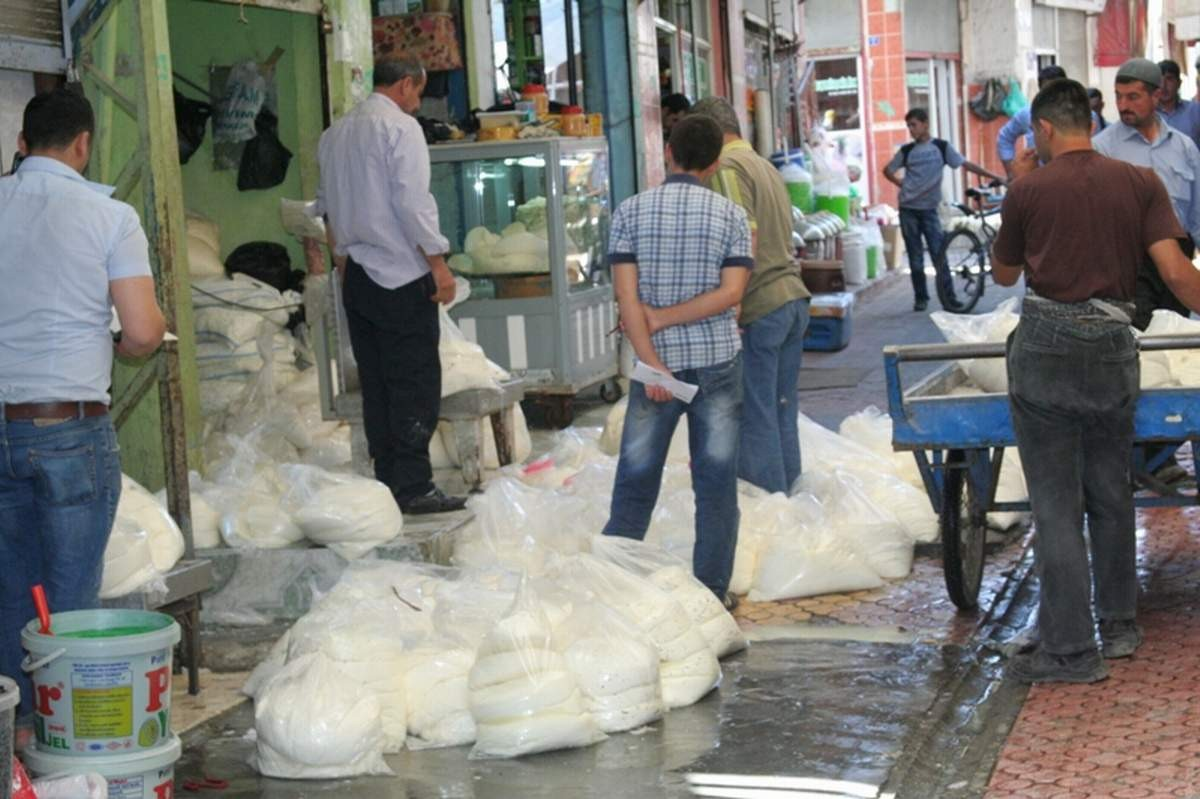 Siirt\'te Taze Peynir Sezonu Açıldı