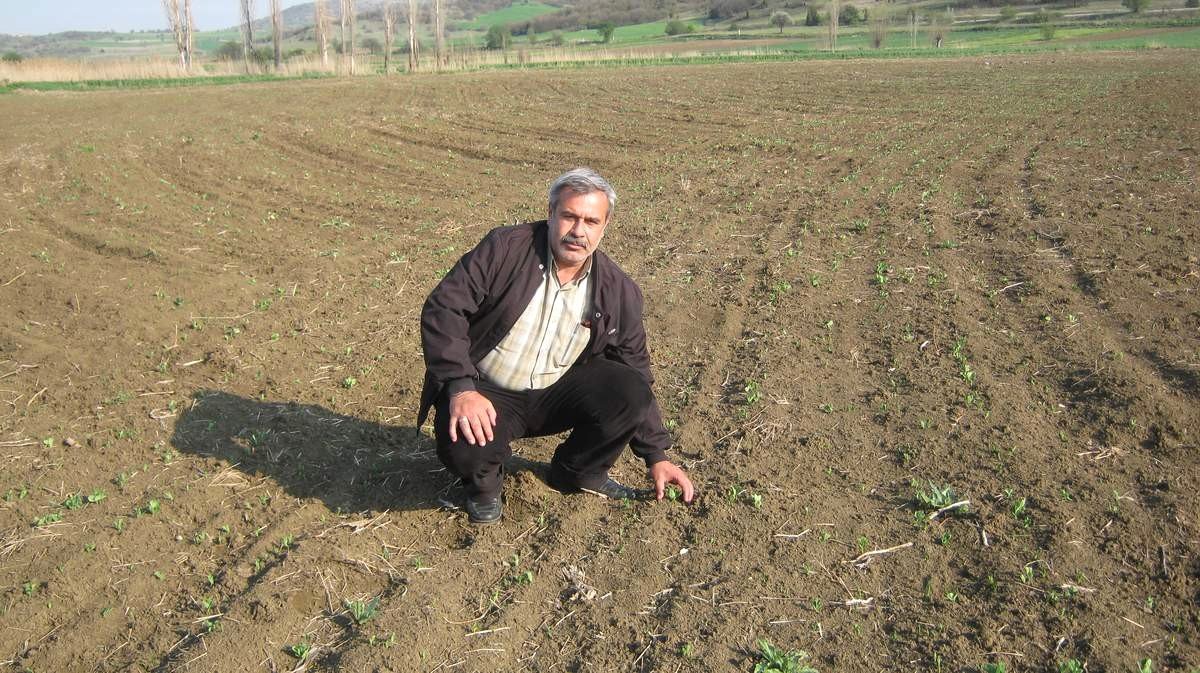 Tarımdaki İstihdam Artışı Yüzleri Güldürüyor