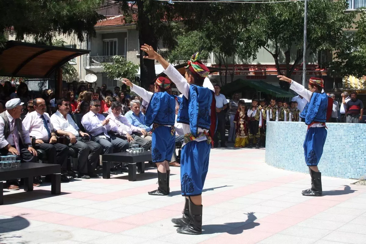 Vize Kültür, Sanat, Bilim ve Spor Festivali