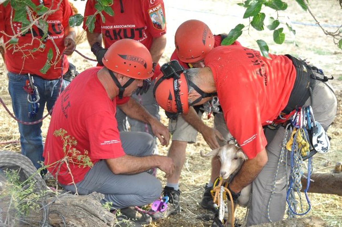 Akuttan Keçi Kurtarma Operasyonu