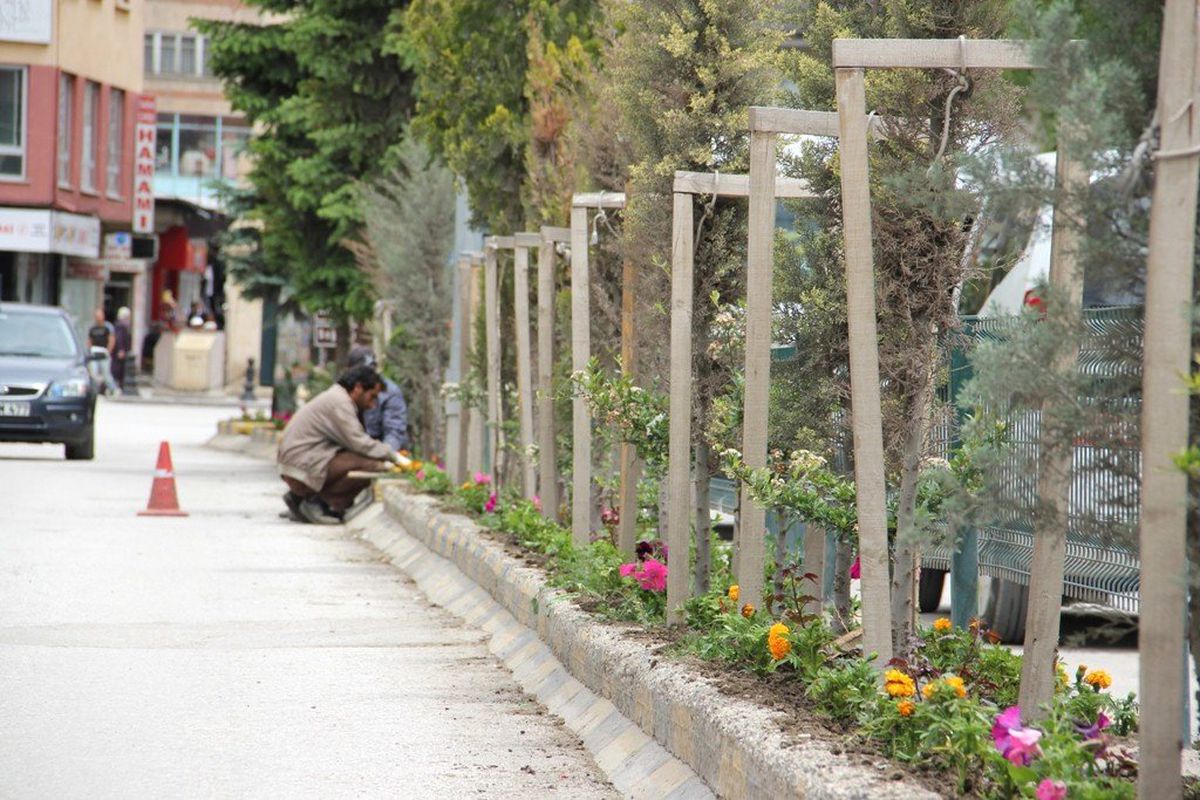 Bayburt Çiçek Açıyor