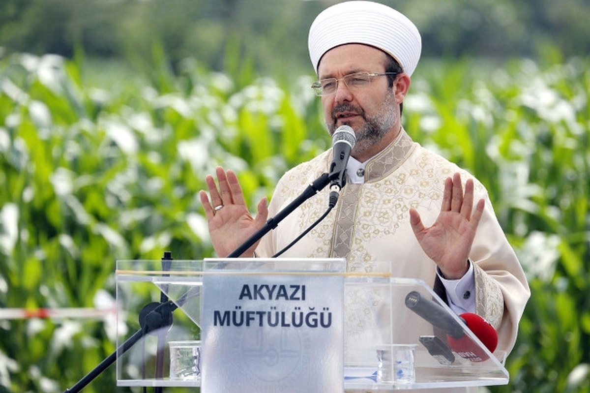 Diyanet İşleri Başkanı Görmez'den 'Gezi' Yorumu