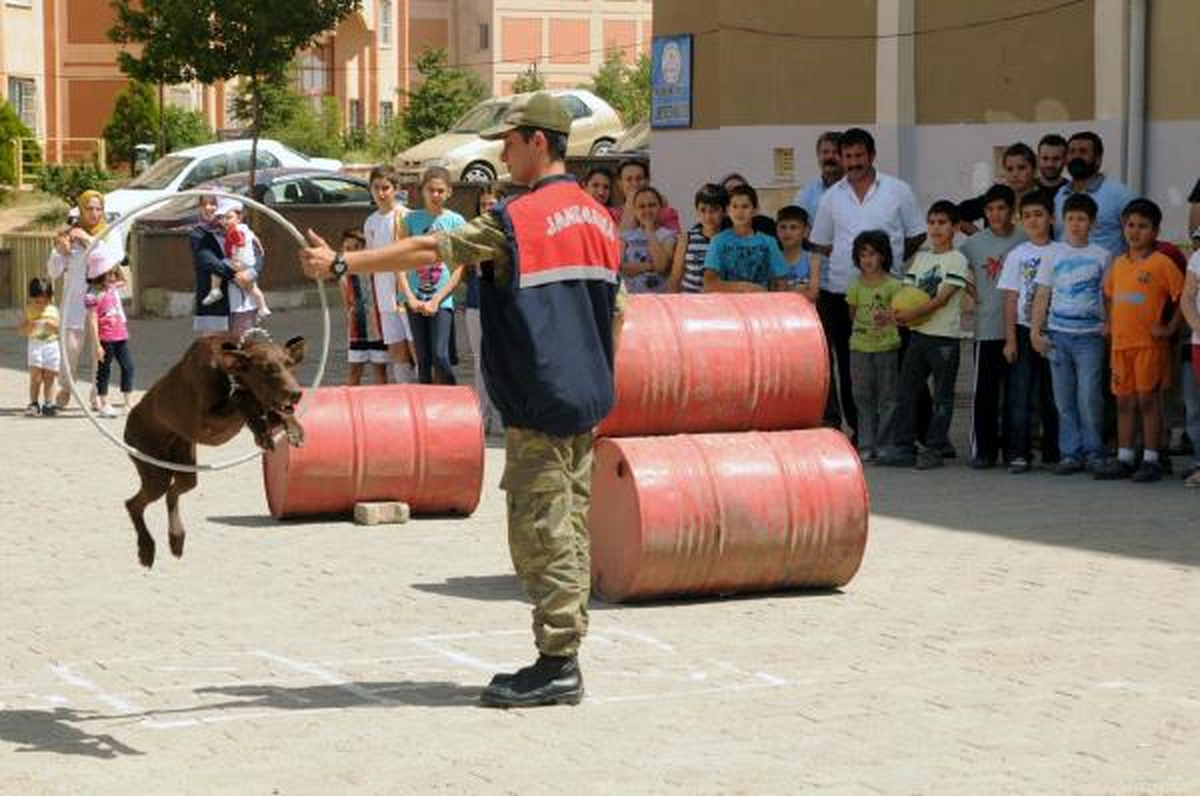 Jandarma Köpeklerinin Gösterisi Nefes Kesti