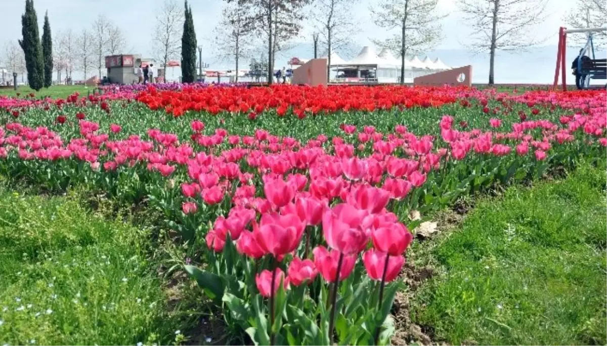 Erdoğan\'ın Övdüğü Seka Park Yaşam Kaynağı Oldu