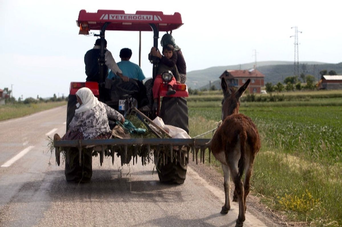 Eşeğini Traktörün Arkasına Bağladı