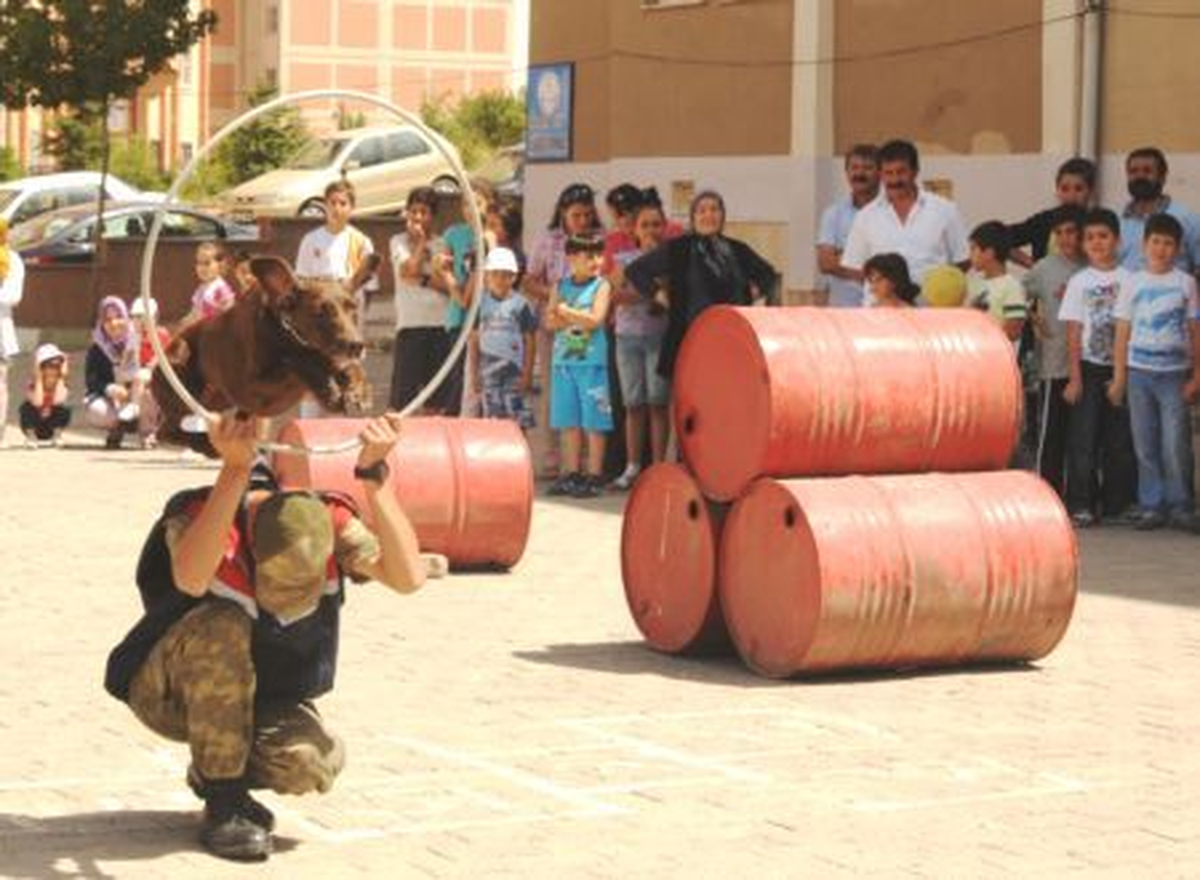 Jandarmanın 3 Kahraman Köpeğinden Gösteri