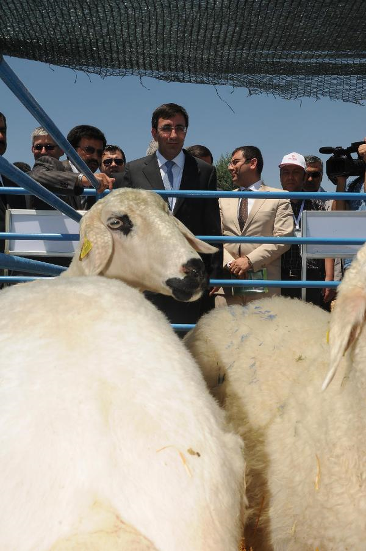 "Türkiye\'yi İstikrarsızlaştırma Çabasındalar"