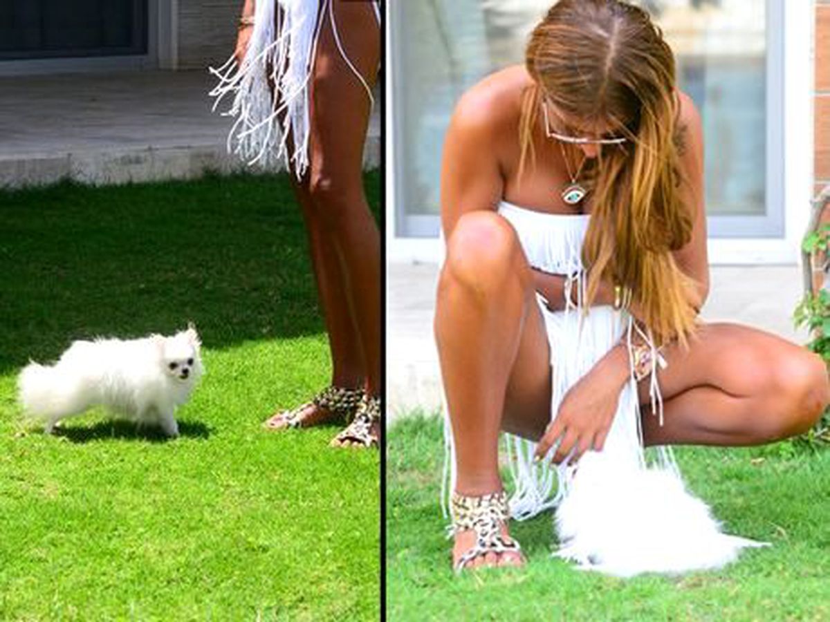 Köpeği Maskot Oldu