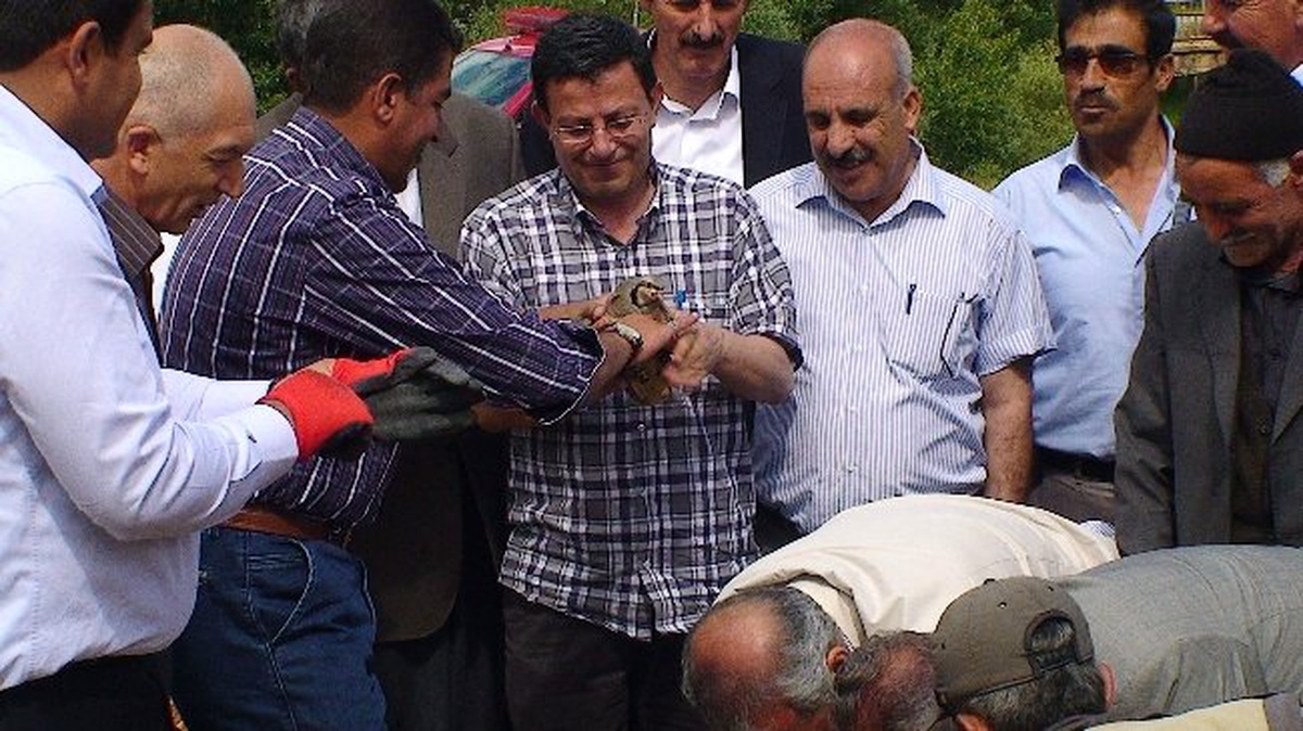 Milletvekili Mustafa Şahin, Doğaya Keklik Bıraktı