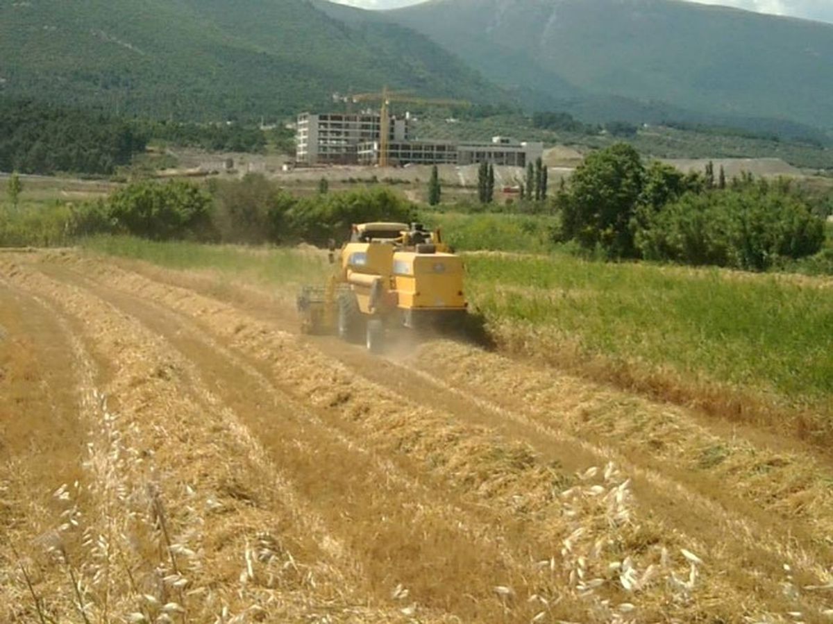 Soma\'da Biçerdöverler Denetlendi