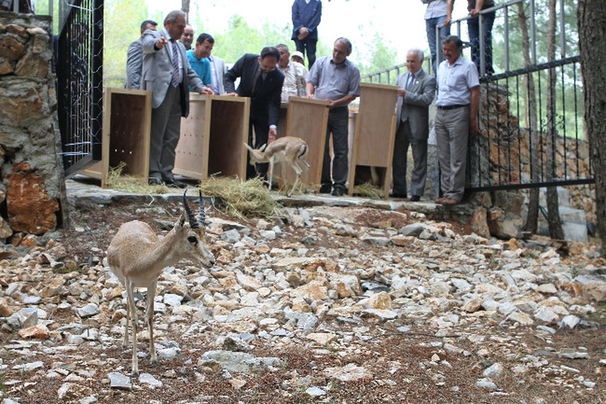 Üniversitede Doğal Yaşam Alanı Parkı