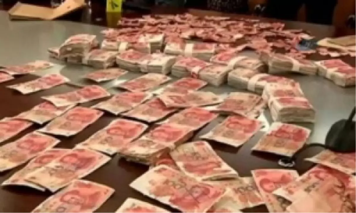 65 Bin Dolarını Böcekler Yedi