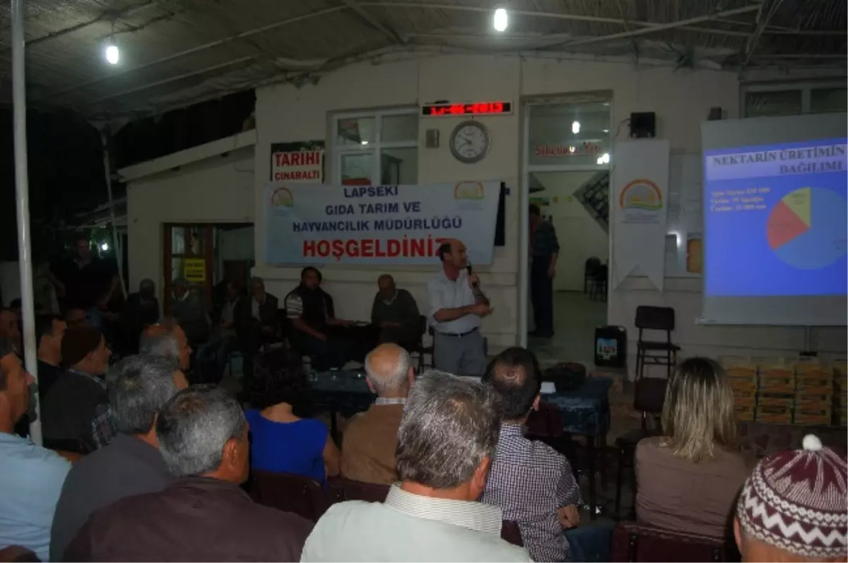 Akademisyenler Kiraz Üreticilerini Uyardı