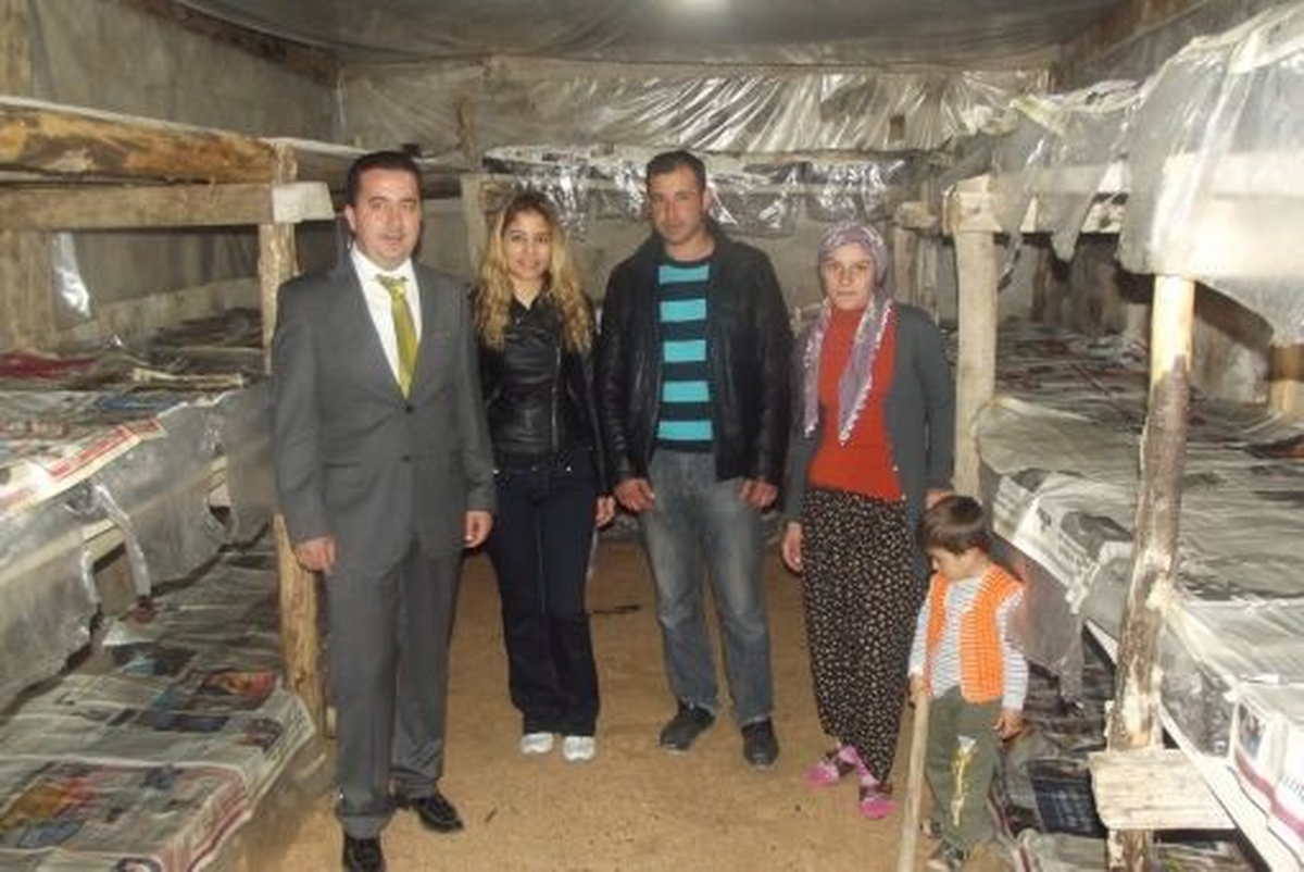 Altunhisar\'da Kültür Mantarı Yaygınlaşıyor