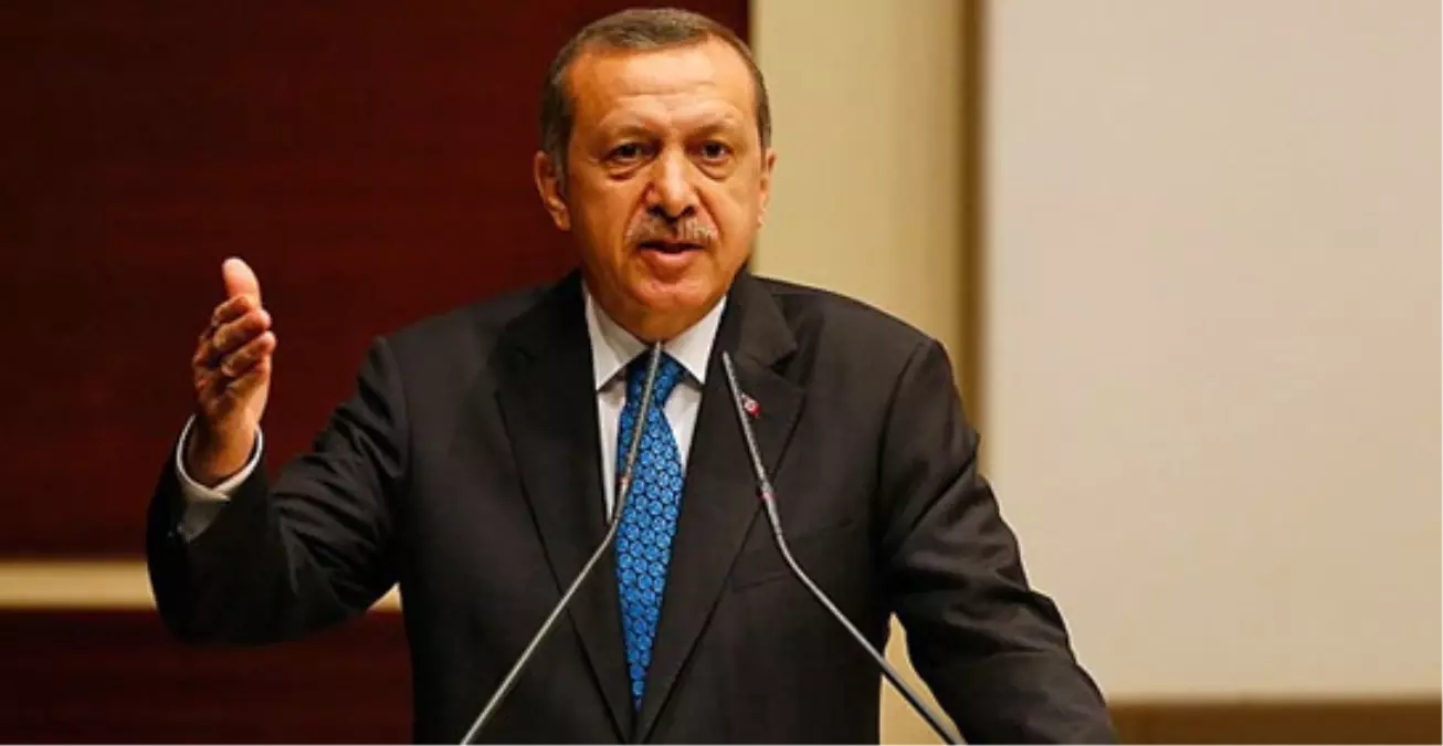 "Diktatör Halk Oylamasına Gider mi?"