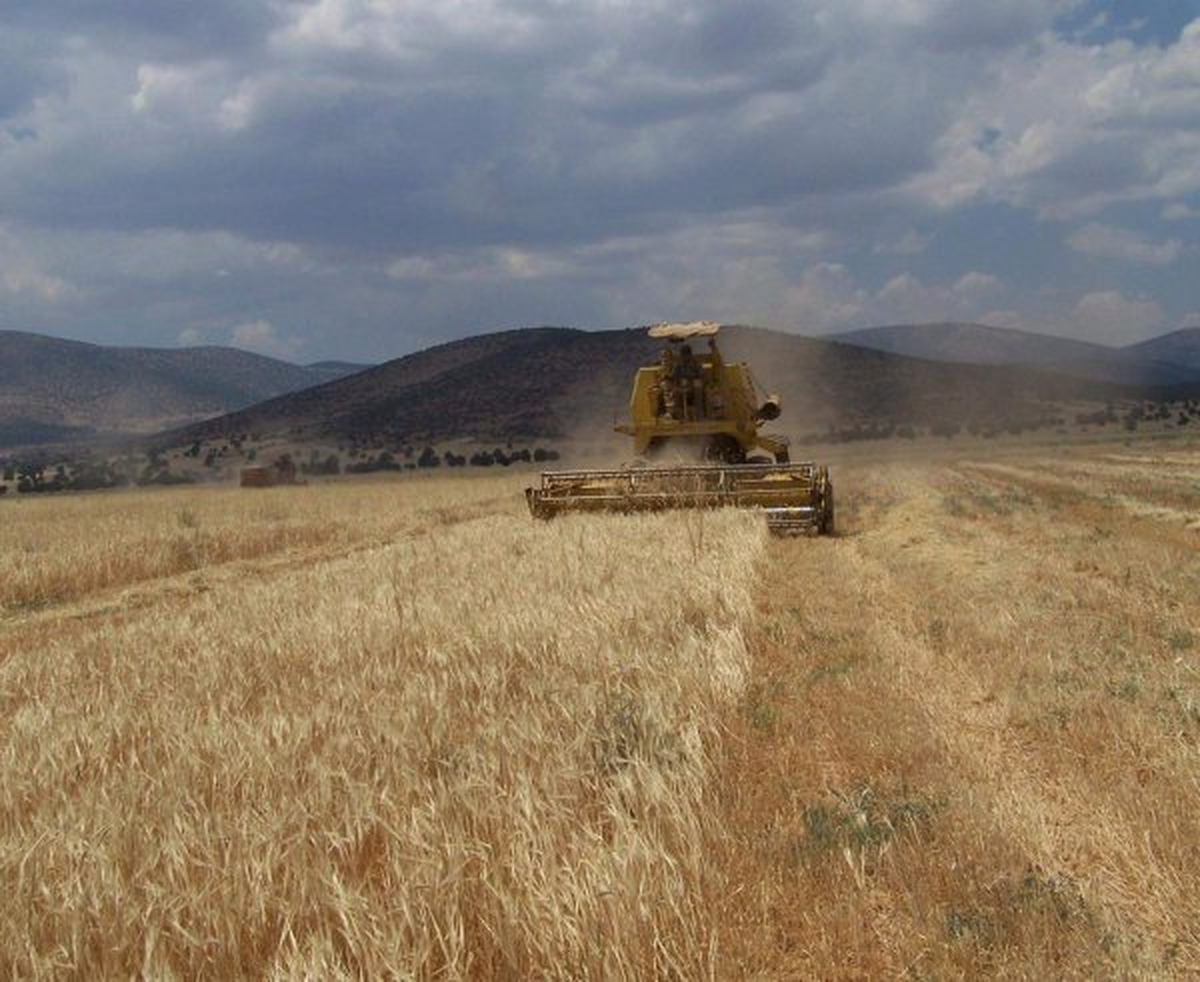 Mardin\'de Biçerdöver Hasadı Kontrolleri Yapıldı
