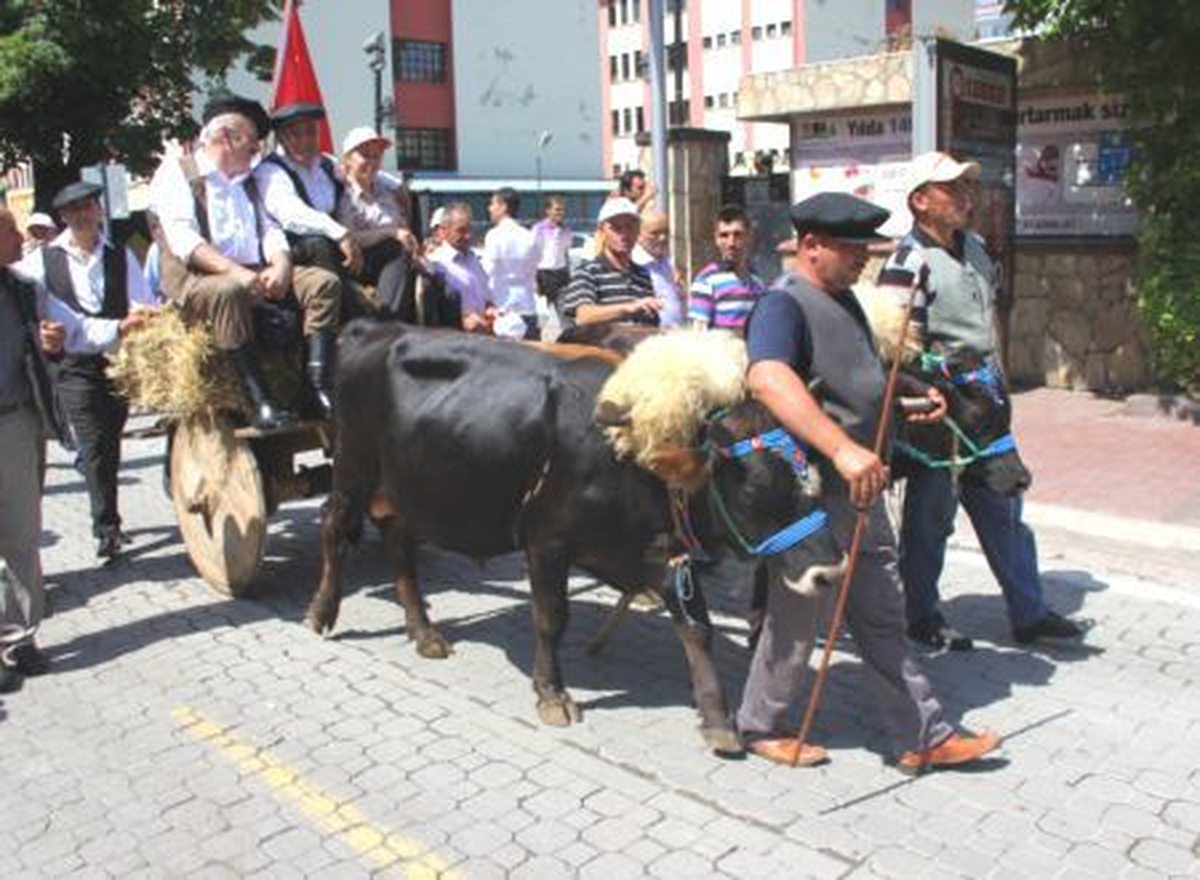 Samsun, "Hemşehriler Buluşmasına" Ev Sahipliği Yaptı