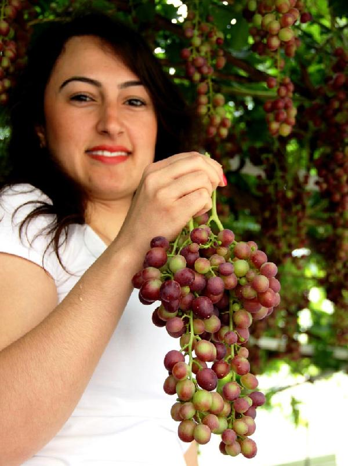 Sarıgöl\'de Haziran Üzümü