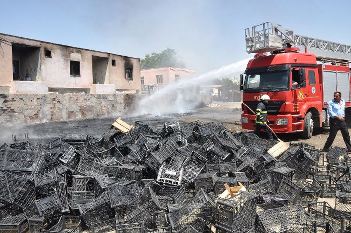 Sebze Halindeki Yangın Paniğe Neden Oldu