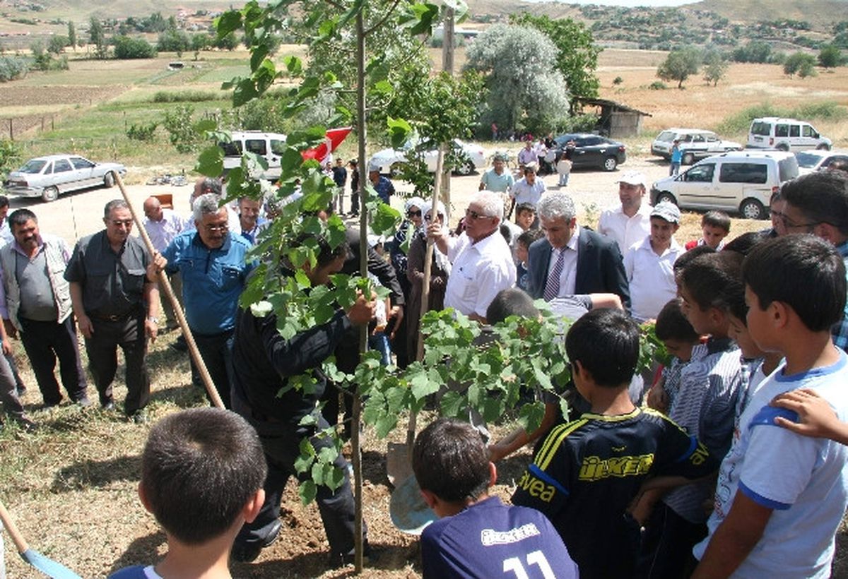 Sungurlu\'da Başbakana Destek İçin 2 Bin Fidan Dikildi