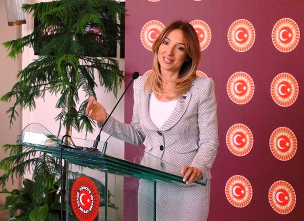 Taksim Gezi Parkı Odaklı Gelişmeler