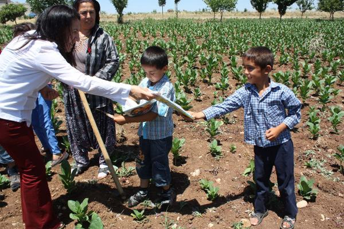 Tarım İşçisi Öğrencilere Karneleri Tarlada Verildi