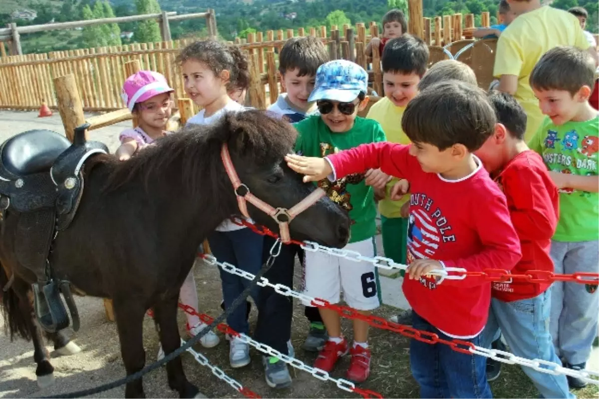Afyonkarahisar'ın En Büyük Özel Piknik Alanı Hizmete Girdi