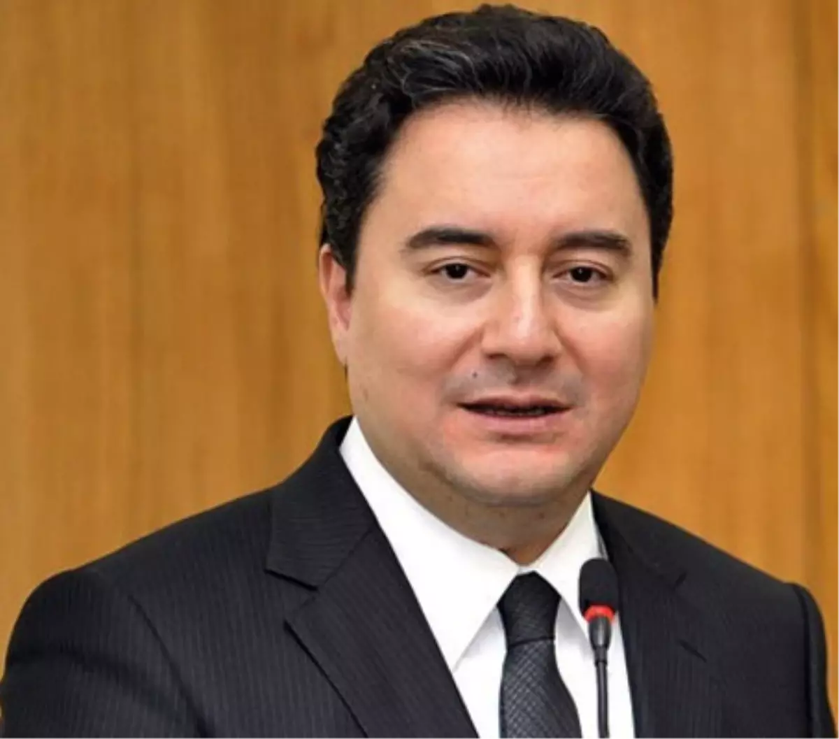 Başbakan Yardımcısı Ali Babacan Açıklaması