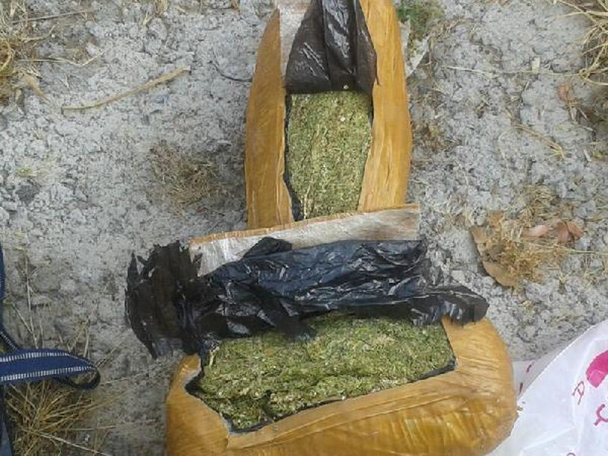 Bomba Sanıldı, Esrar Çıktı