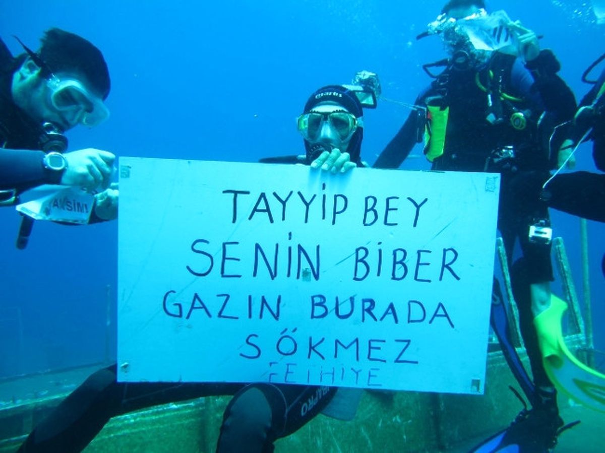 Fethiye\'de Deniz Altında Gezi Parkı Protestosu