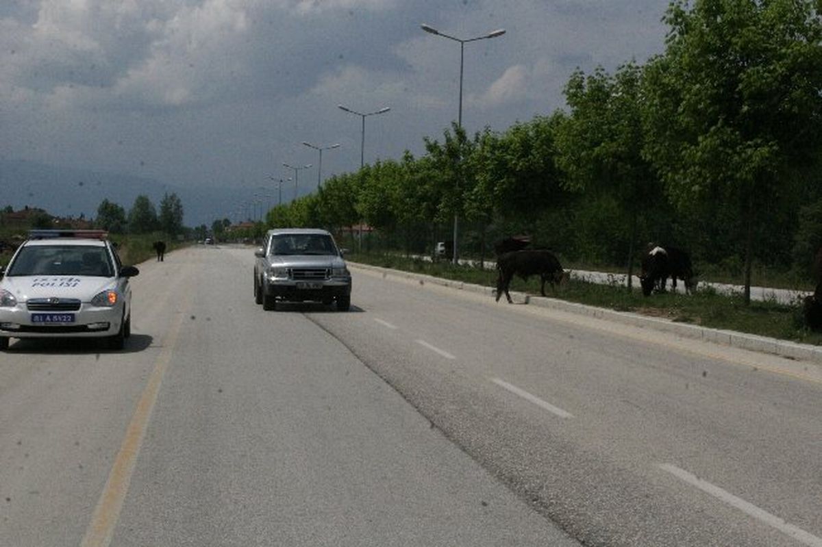 Kulağındaki Küpeye Ceza