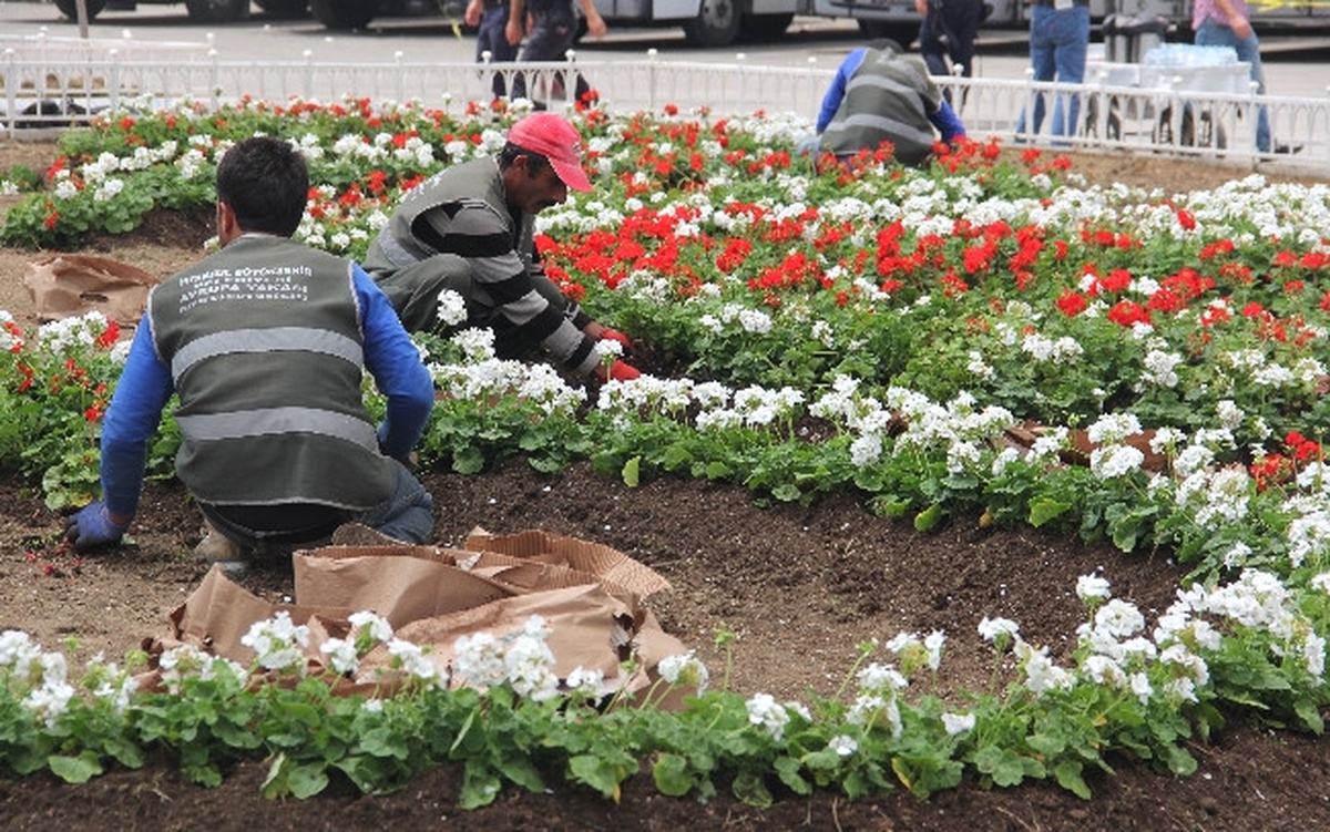 Taksim Meydanı Yeniden Çiçek Açtı