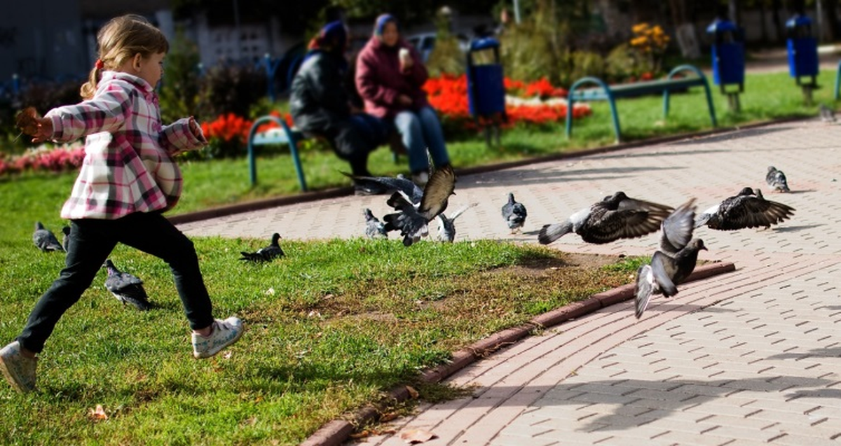 Yaz Tatilinde Kendi Haline Bırakılan Çocuklar Daha Mutsuz