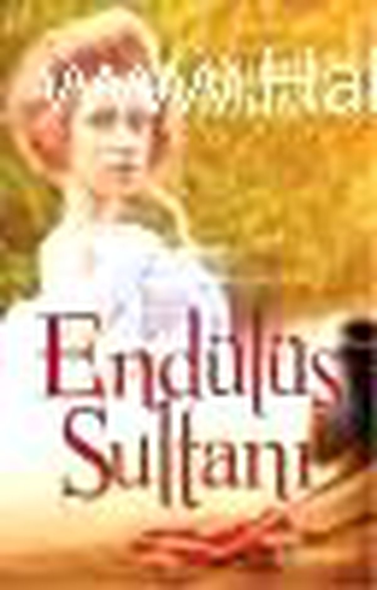 Endülüs Sultanı Kitabı