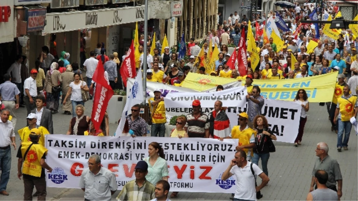 Gezi Parkı\'na Destek Grevi ve Yürüyüşü
