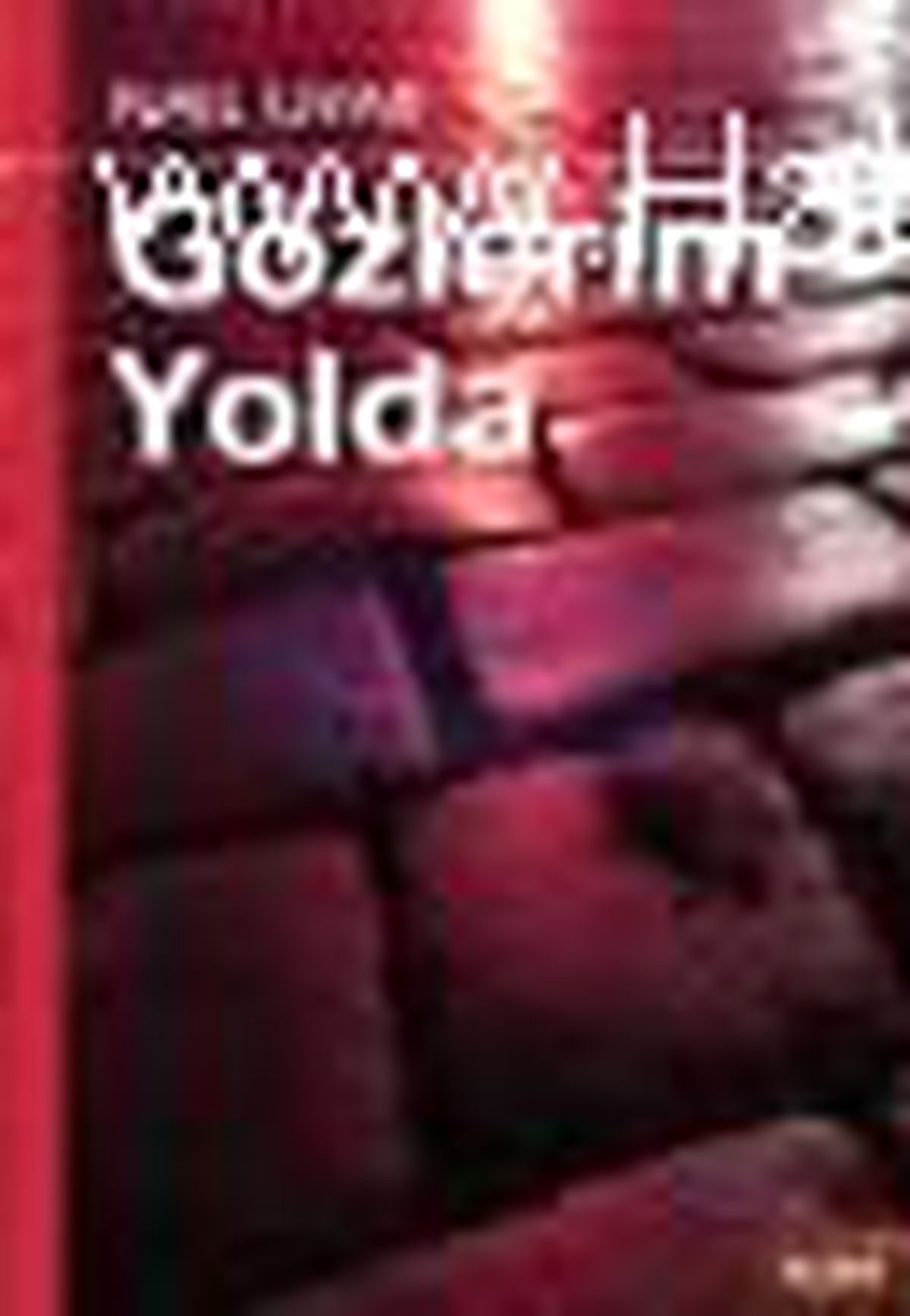 Gözlerim Yolda Kitabı