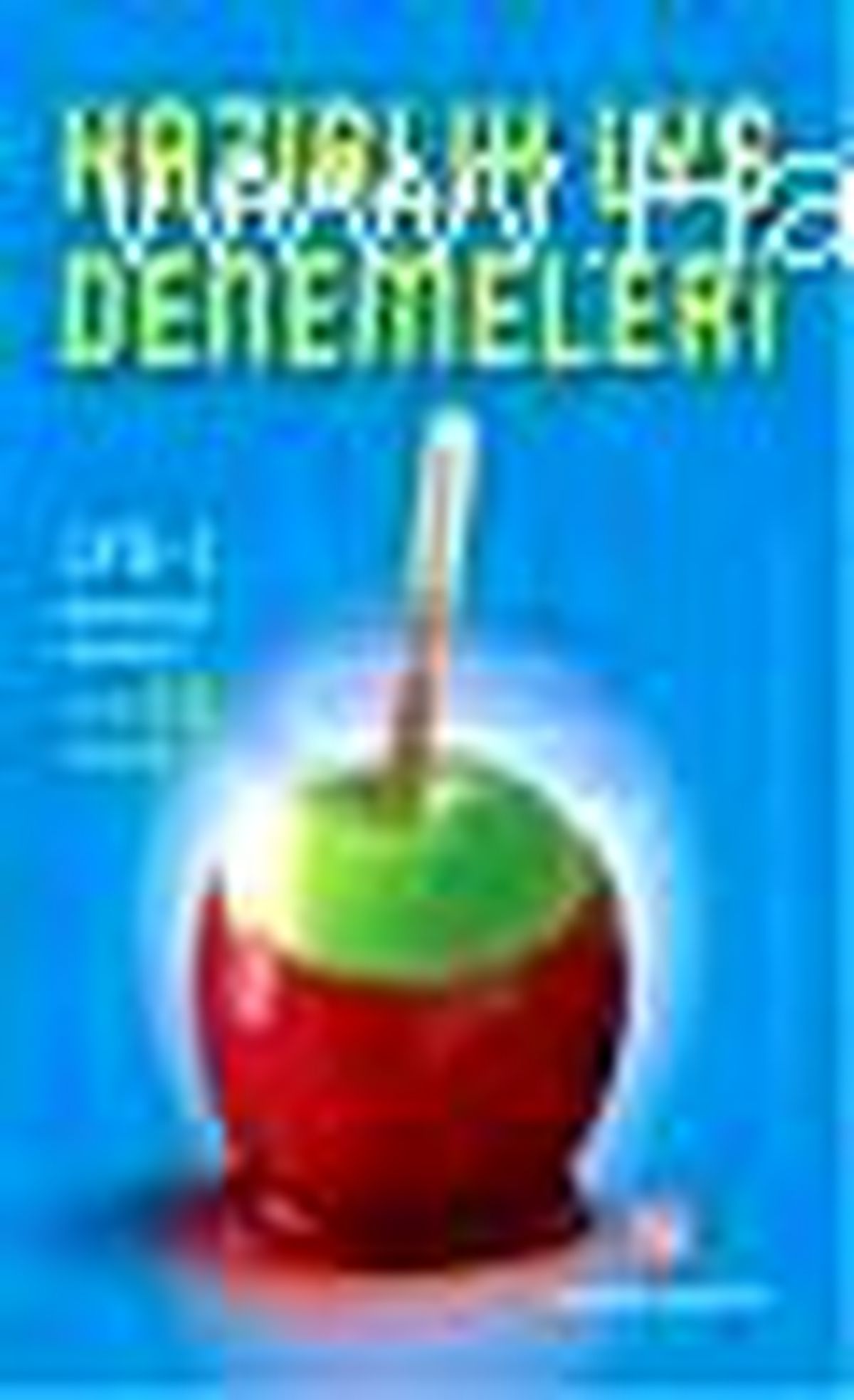 Hazırlık Lys - 1 Denemeleri (20 Deneme) Kitabı