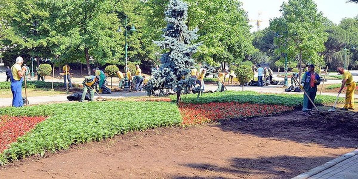 İstanbul Büyükşehir Belediyesi\'nden Gezi Parkı\'na 80 Ağaç, 50 Bin Çiçek, 5 Bin Gül