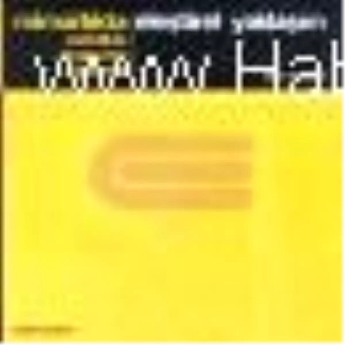 Mimarlıkta Estetikte Tasarımda Eğitimde Eleştirel Yaklaşım Kitabı