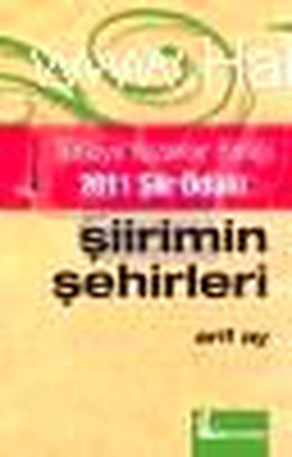Şiirimin Şehirleri Kitabı